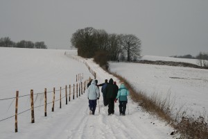 Winter walk